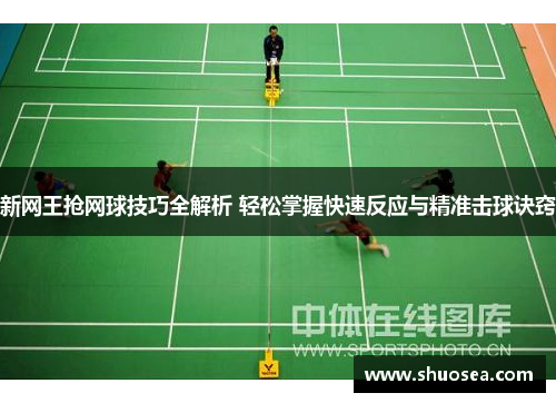 新网王抢网球技巧全解析 轻松掌握快速反应与精准击球诀窍