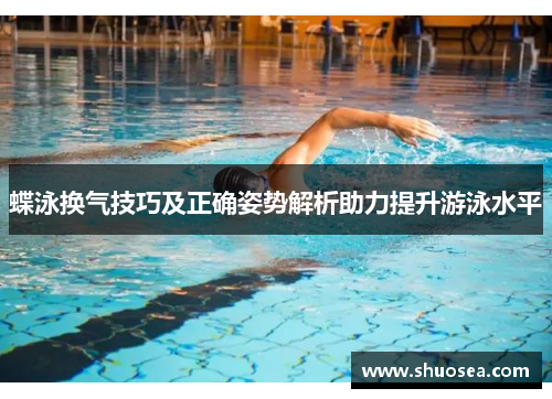 蝶泳换气技巧及正确姿势解析助力提升游泳水平