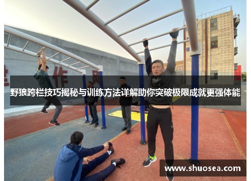 野狼跨栏技巧揭秘与训练方法详解助你突破极限成就更强体能