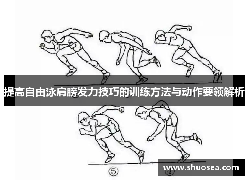 提高自由泳肩膀发力技巧的训练方法与动作要领解析