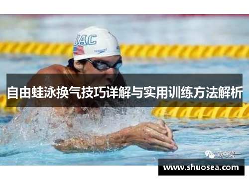 自由蛙泳换气技巧详解与实用训练方法解析