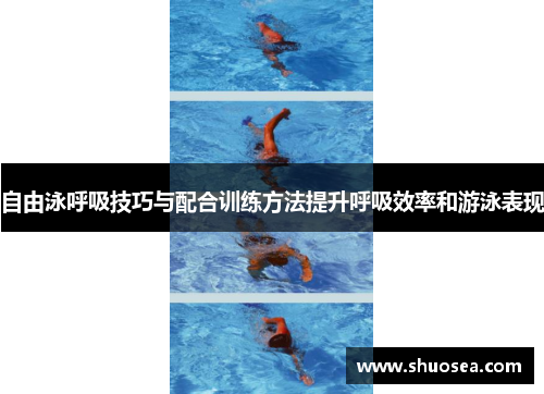 自由泳呼吸技巧与配合训练方法提升呼吸效率和游泳表现
