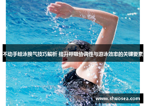 不动手蛙泳换气技巧解析 提升呼吸协调性与游泳效率的关键要素